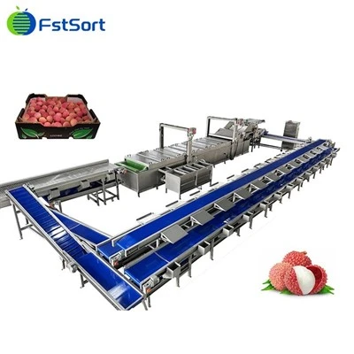 Lychee Botzen Verpackungsmaschinn