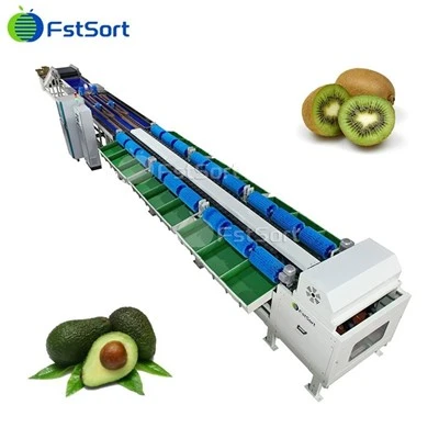 Kiwi Gewiicht Zortéieren Grading Machine